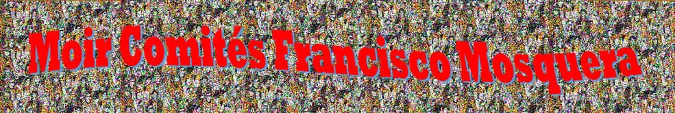 comitesmosquera-banner